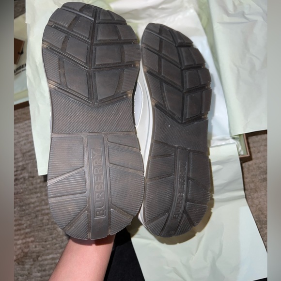 TNR Sean 4 - Picture 4 of 9